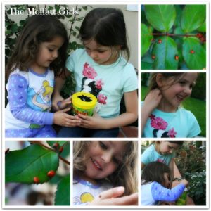 We just released 1,500 ladybugs into our garden!