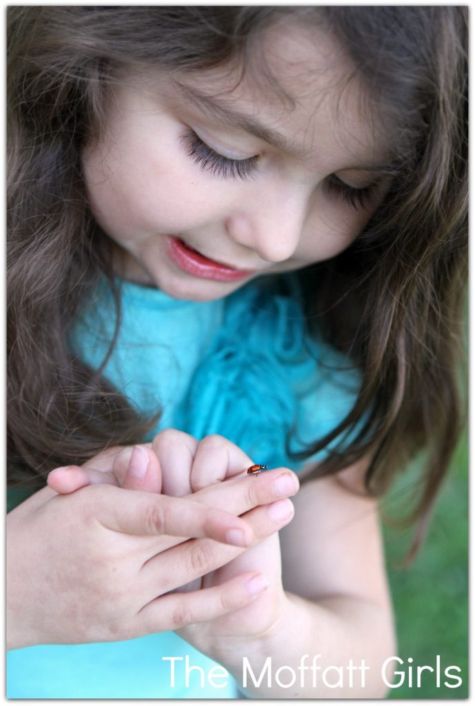 FUN with Ladybugs!